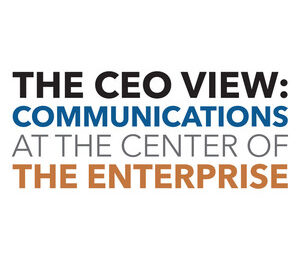 The CEO view