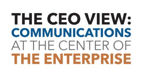 The CEO View 2017 Full Report