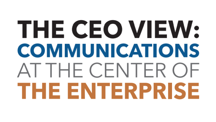The CEO View 2017 Full Report